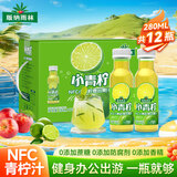 版纳雨林（BANNARAINFOREST）nfc小青柠汁280ml*12整箱聚餐火锅咖啡伴侣饮料0添加果汁调酒小瓶