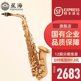 星海（XINGHAI INSTRUMENT）中音萨克斯 降E调萨克斯乐器 初学者演奏儿童 学生考级款萨克斯 初学款YH-421/Eb调中音萨克斯