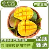 京觅四川攀枝花凯特芒果4.5-5斤装净重单果300g+甜芒果水果源头直发