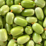 清韵伊人玉女水果黄瓜种子脆甜拇指小黄瓜种籽四季秋阳台盆栽易种蔬菜种孑 玉女水果黄瓜约10粒【原装】