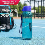 特百惠（Tupperware）乐活750ml塑料杯男女士学生运动吸管水杯子大容量泡茶杯 高雅蓝