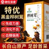 神农金康桦树茸300g 正宗长白山黑金颗粒白桦茸桦褐孔菌灵芝葛根粉泡水茶