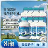 青海湖 牦牛鲜牛乳400ml*8 低温牛奶 巴氏杀菌 纯净奶源