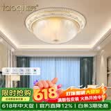 韬齐 欧式吸顶灯客厅现代简约主卧室灯美式阳台灯具 J2014-小号 直径30CM 配单色LED灯泡
