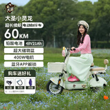 雅迪大圣电动车 小灵龙 新新国标可上牌48v铅酸大电池时尚成人小型女生电动自行车 绿色 48V21A铅酸