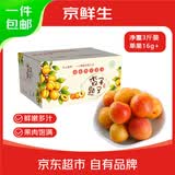 京鲜生新疆吊干杏 净重3斤 单果16g+  生鲜水果礼盒  时令限定 源头直发