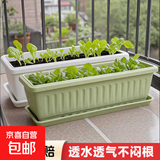 塑料花盆加大特大号 阳台仿陶瓷苗木盆景育苗盆长方形养花种菜盆 白色-种菜盆带托 400#长40cm宽17.5cm高13cm