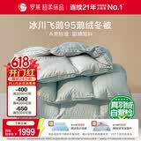 罗莱家纺 羽绒被 A类95%水洗鹅绒被子保暖冬被芯 约4.3斤绿