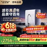 史密斯（A.O.SMITH）佳尼特【26年新品】蓝鲸1000G家用净水器厨房专用台下净水机直饮一体机8年RO膜 CR2500AE3
