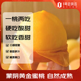 趣尝鲜 蒙阴黄金蜜桃 净重4.5斤 单果170g起 新鲜黄桃 源头直发一件包邮