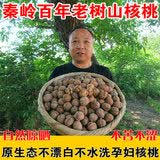 知尝新货陕西秦岭山生山核桃老品种油香核桃老树薄皮孕妇核桃原味清香 野生山核桃【5斤】大果带夹子