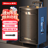 新科 （Shinco）T30 广场舞音响户外拉杆蓝牙音箱三喇叭重低音木质箱体家用K歌移动摆摊低音炮 8吋单咪