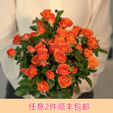 芊芊细语斗南基地直批发玫瑰鲜花全国速递配送女友礼物家用水养插花家庭 橙色多头泡泡10枝（多头多量）+送保鲜剂