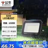 公牛（BULL）LED投光灯户外庭院工厂园林灯露营灯 IP65防水等级50W-6500K白光