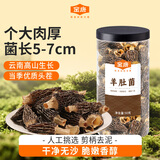 金唐羊肚菌50g（5-7cm）云南特产头茬肉厚山珍干货煲汤火锅食材