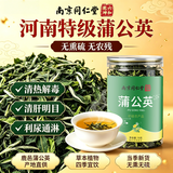 南京同仁堂正宗蒲公英叶茶70g特级野生婆婆丁茶养生茶中药材花草茶清热