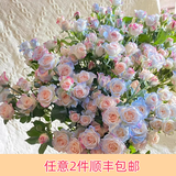 芊芊细语斗南基地直批发玫瑰鲜花全国速递配送女友礼物家用水养插花家庭 碎冰蓝泡泡10支（折射泡泡喷色而成）