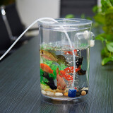 森森 鱼缸水族箱创意生态金鱼缸塑料亚克力小型迷你缸懒人桌面鱼缸 懒人圆形鱼缸14.5*24cm