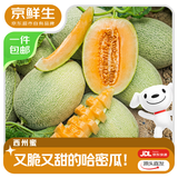 京鲜生 甘肃哈密瓜西州蜜 净重5-6斤1-2粒装 新鲜水果源头直发