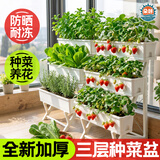 朵咔园艺阳台种菜盆多层种植箱蔬菜专用花盆顶楼草莓特大花盆家庭种菜神器 【盆架套装】含3个盆+1个三层支架