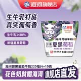 海河牛奶早餐奶天津海河网红风味奶日期新鲜可批发袋装奶 海河夏黑葡萄220ml*10包