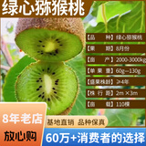 欧悟【买2颗送1颗】嫁接车厘子树苗大樱桃树苗盆栽果树苗木南北方种植 绿心猕猴桃树苗 6年苗当年结果