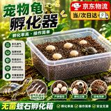 SERENE PET 青松宠 蛭石乌龟孵化器乌龟蛋专用孵化箱蜥蜴守宫产房爬宠孵化盒小甲鱼 S码孵化器1套 适合6个蛋