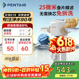 滨特尔（pentair）前置过滤器大通量家用25微米仿鳃叠片 全屋自来水管道过滤器大流量净水器排行前十名 【新品升级】L250仿鳃叠片-25μm
