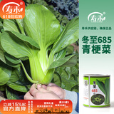 寿禾油菜种子矮脚上海青梗菜蔬菜小白菜快菜春季寿光蔬种籽四季青菜 冬至685青梗菜种子100g/桶