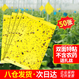 楚婕雅双面粘虫板黄板诱虫板灭苍蝇贴果蝇纸灭蚊黏虫小飞虫诱捕神器50张