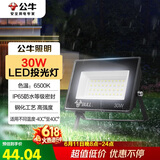 公牛（BULL）LED投光灯户外庭院工厂园林灯露营灯 IP65防水等级30W-6500K白光