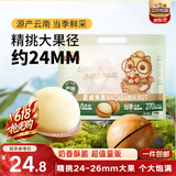 三只松鼠夏威夷果500g约24-26mm儿童每日坚果炒货休闲零食团购送礼