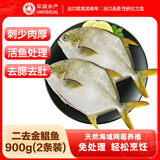 环球水产南海二去金鲳鱼净重900g/2条去鳃去脏免处理鱼类海鲜