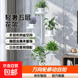 花架客厅2025新款轻奢花架置物架阳台多肉万向轮花盆托架多层铁艺 富贵树五盆白色
