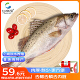 仙泉湖三去大白蕉海鲈鱼2斤/条净膛冷冻刺少肉厚海鲜水产生鲜食材