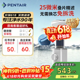 滨特尔（pentair）前置过滤器大通量家用25微米仿鳃叠片 全屋自来水管道过滤器大流量净水器排行前十名 【新品升级】L250仿鳃叠片-25μm