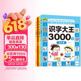 识字大王3000字全套4册幼小衔接学前一日一练幼儿识字书中班大班幼儿园宝宝启蒙教材儿童认字图书3-4-5-6岁书籍 