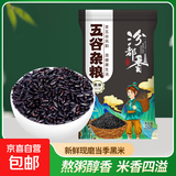 精选黑米黑香米 粗粮五谷杂粮粥米搭档大米伴侣黑米粥 黑米250g