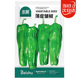 北蔬 薄皮辣椒种子种苗大果微辣四季蔬菜种籽 北蔬薄皮皱椒种子100粒