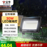 公牛（BULL）LED投光灯户外庭院工厂园林灯露营灯 IP65防水等级30W-6500K白光