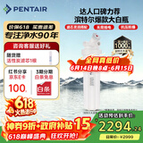 滨特尔（pentair）大白瓶前置过滤器 全屋家用自来水过滤器 前置净水器大蓝瓶 中央净水机大流量大胖瓶高精度 【20寸大白瓶】包安装