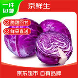 京鲜生山东新鲜紫甘蓝净重3斤单果200g+卷心菜甘蓝 新鲜蔬菜源头直发