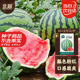 北蔬 8424西瓜种子种苗麒麟甜脆水果种籽 8424西瓜种子约30粒