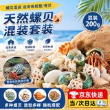 句可 【纯天然】寄居蟹替换壳寄居蟹海螺壳空壳鱼缸贝壳造景饲养套装 大号螺贝混装200g（约15个）