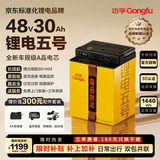 功孚锂电五号电动车锂电池48V30Ah大容量电瓶车电摩电池雅迪爱玛台铃