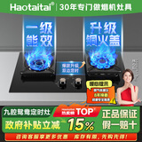 Haotaitai液化气燃气灶家用双灶煤气灶猛火台式嵌入式定时猛火炉具玻璃鸳鸯灶JZY-ZR02-JD
