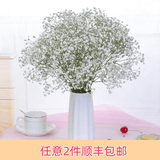 芊芊细语斗南基地直批发玫瑰鲜花全国速递配送女友礼物家用水养插花家庭 白色满天星半斤