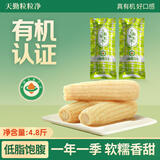 天勤粒粒净有机大白糯玉米（4.8斤）8穗*300g玉米棒糯玉米真空包装早餐代餐