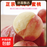 山东肥城大桃仙桃水蜜桃正宗鲜应季孕妇水果软硬两吃整箱包邮 正宗肥桃软硬两吃【商超甄选】 8个装高端礼盒单果300克以上