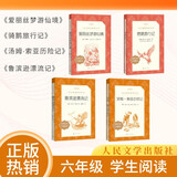 【六年级下】4种4本 鲁滨逊漂流记 骑鹅旅行记 汤姆索亚历险记 爱丽丝梦游仙境 学生阅读
